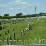 2017OTRA-1_428 (August 24, 2017)